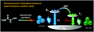 Graphical abstract: Highly efficient carbon dot-based room-temperature fluorescence–phosphorescence dual emitter