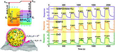 Graphical abstract: ZnO/BiFeO3 heterojunction interface modulation and rGO modification for detection of triethylamine