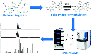 Graphical abstract: Isomeric separation of permethylated glycans by extra-long reversed-phase liquid chromatography (RPLC)-MS/MS