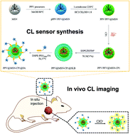 Graphical abstract: A bright chemiluminescence conjugated polymer–mesoporous silica nanoprobe for imaging of colonic tumors in vivo