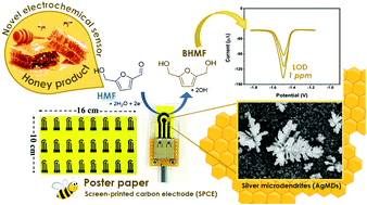 Graphical abstract: A novel and portable electrochemical sensor for 5-hydroxymethylfurfural detection using silver microdendrite electrodeposited paper-based electrode