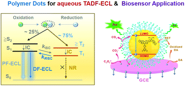 Graphical abstract: A scaffold of thermally activated delayed fluorescent polymer dots towards aqueous electrochemiluminescence and biosensing applications