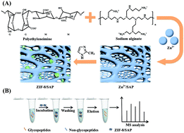 Graphical abstract: A novel hydrophilic hydrogel with a 3D network structure for the highly efficient enrichment of N-glycopeptides