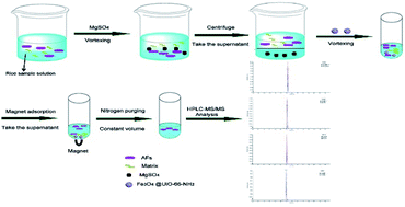 Graphical abstract: A novel magnetic metal–organic framework absorbent for rapid detection of aflatoxins B1B2G1G2 in rice by HPLC-MS/MS