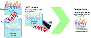 Graphical abstract: A highly sensitive impedimetric sensor based on a MIP biomimetic for the detection of enrofloxacin