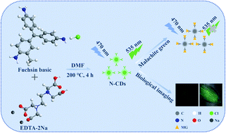 Graphical abstract: Simple synthesis of green luminescent N-doped carbon dots for malachite green determination