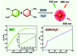 Graphical abstract: Dual-emission carbon dots for sensitive fluorescence detection of metal ions and ethanol in water