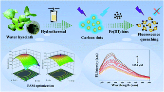 Graphical abstract: Fluorescent carbon dots from water hyacinth as detection sensors for ferric ions: the preparation and optimisation using response surface methodology