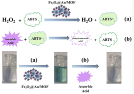 Graphical abstract: Fe3O4@Au–metal organic framework nanozyme with peroxidase-like activity and its application for colorimetric ascorbic acid detection