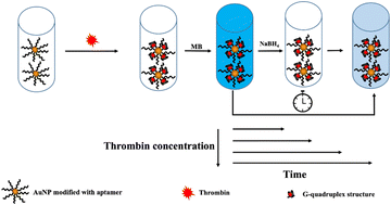 Graphical abstract: An instrument-free visual quantitative detection method based on clock reaction: the detection of thrombin as an example