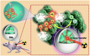 Graphical abstract: Scintillator-based radiocatalytic superoxide radical production for long-term tumor DNA damage