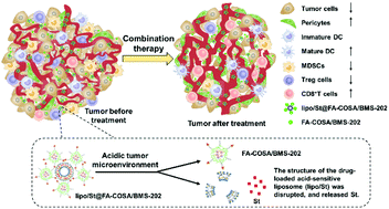 Graphical abstract: Combination of tumor vessel normalization and immune checkpoint blockade for breast cancer treatment via multifunctional nanocomplexes