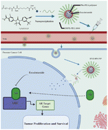 Graphical abstract: Delivery of enzalutamide via nanoparticles for effectively inhibiting prostate cancer progression
