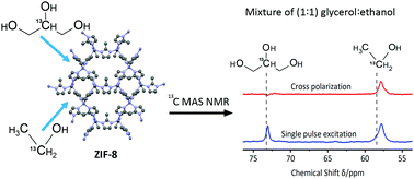 Graphical abstract: Solid-state NMR insights into alcohol adsorption by metal–organic frameworks: adsorption state, selectivity, and adsorption-induced phase transitions