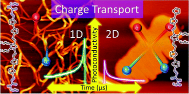 Graphical abstract: Structurally directed thienylenevinylene self-assembly for improved charge carrier mobility: 2D sheets vs. 1D fibers