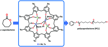 Graphical abstract: Mixed-metal calix[8]arene complexes: structure, and ring opening polymerisation studies