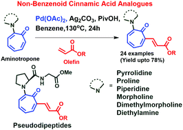 Graphical abstract: Novel cinnamic acid analogues: synthesis of aminotroponyl acrylates by Pd(ii)-catalysed C(sp2)–H olefination