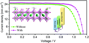 Graphical abstract: High-conductivity thiocyanate ionic liquid interface engineering for efficient and stable perovskite solar cells