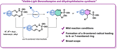 Graphical abstract: Photoredox synthesis of 6- and 7-membered ring scaffolds via N-centered radicals