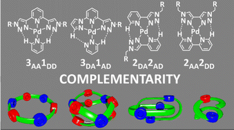 Graphical abstract: Directing metallo-supramolecular assembly through complementarity