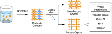 Graphical abstract: Functions and fundamentals of porous molecular crystals sustained by labile bonds
