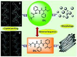 Graphical abstract: Versatility in self-assembly and morphology of non-coded anthranilic acid and phenylglycine based dipeptide stereoisomers