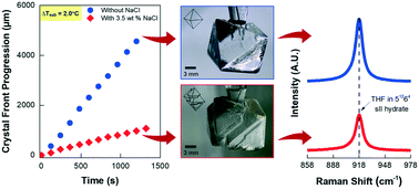 Graphical abstract: Growth rate and morphology study of tetrahydrofuran hydrate single crystals and the effect of salt