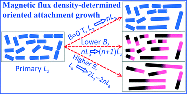 Graphical abstract: Magnetic flux density-determined oriented attachment growth of FePt nanowires
