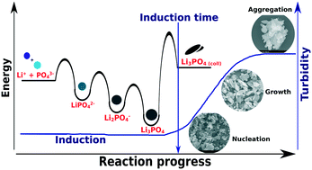 Graphical abstract: Nucleation kinetics of lithium phosphate precipitation