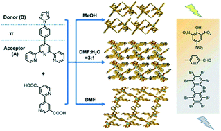 Graphical abstract: Supramolecular assemblies of Zn(ii) complexes with a D–π–A ligand for sensing specific organic molecules