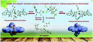 Graphical abstract: New di-n-butyltin(iv)-bis-(1-alkoxy-isoquinoline-4-nitrile thiolate): crystallographic and computational studies