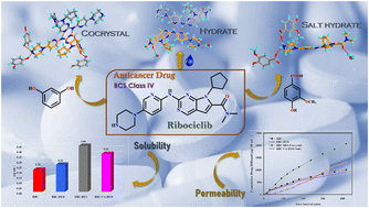 Graphical abstract: Solubility and permeability enhancement of BCS class IV drug ribociclib through cocrystallization