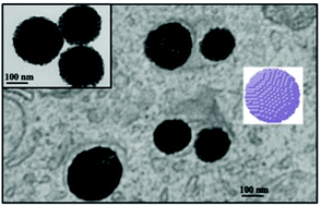 Graphical abstract: Supraballs as spherical solid 3D superlattices of hydrophobic nanocrystals dispersed in water: nanoarchitectonics and properties