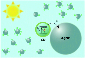 Graphical abstract: Photoinduced charge separation in functional carbon–silver nanohybrids
