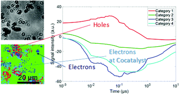 Graphical abstract: Local charge carrier dynamics of a particulate Ga-doped La5Ti2Cu0.9Ag0.1O7S5 photocatalyst and the impact of Rh cocatalysts