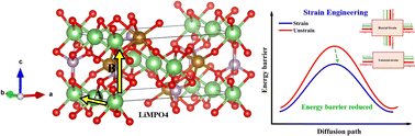 Graphical abstract: Strain engineering of Li+ ion migration in olivine phosphate cathode materials LiMPO4 (M = Mn, Fe, Co) and (LiFePO4)n(LiMnPO4)m superlattices