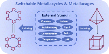 Graphical abstract: Switchable metallacycles and metallacages