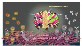 Graphical abstract: Heterogeneous interface-induced electrocatalytic efficiency boosting of bimetallic Cu/Zn selenides for stable water oxidation and oxygen reduction reactions