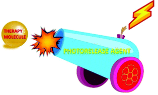 Graphical abstract: Recent advances in photorelease complexes for therapeutic applications