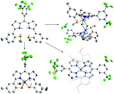 Graphical abstract: A new bis(thioether)-dipyrrin N2S2 ligand and its coordination behaviors to nickel, copper and zinc