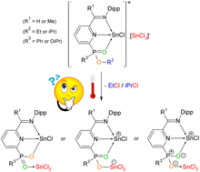 Graphical abstract: Tin(ii) cations stabilized by non-symmetric N,N′,O-chelating ligands: synthesis and stability