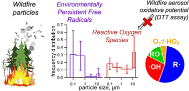 Graphical abstract: Wildfire particulate matter as a source of environmentally persistent free radicals and reactive oxygen species