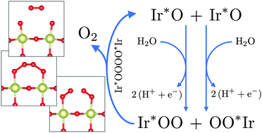 Graphical abstract: The Ir–OOOO–Ir transition state and the mechanism of the oxygen evolution reaction on IrO2(110)