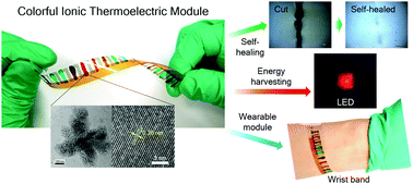 Graphical abstract: Bisulfate transport in hydrogels for self-healable and transparent thermoelectric harvesting films