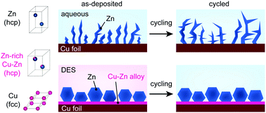 Graphical abstract: Stimulating Cu–Zn alloying for compact Zn metal growth towards high energy aqueous batteries and hybrid supercapacitors