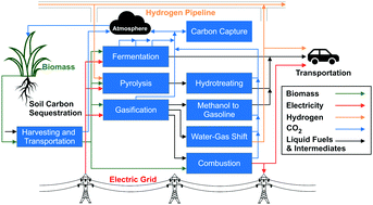 Graphical abstract: Analysis of alternative bioenergy with carbon capture strategies: present and future