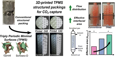 Graphical abstract: 3D printed triply periodic minimal surfaces as advanced structured packings for solvent-based CO2 capture