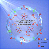 Graphical abstract: Highly efficient photocatalytic H2O2 production in microdroplets: accelerated charge separation and transfer at interfaces
