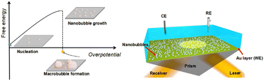 Graphical abstract: Interfacial nanobubbles’ growth at the initial stage of electrocatalytic hydrogen evolution