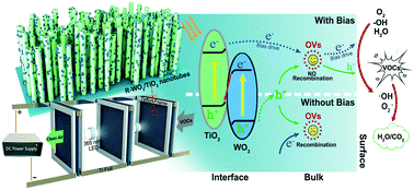 Graphical abstract: Gas-phase photoelectrocatalytic oxidation of volatile organic compounds using defective WO3/TiO2 nanotubes mesh